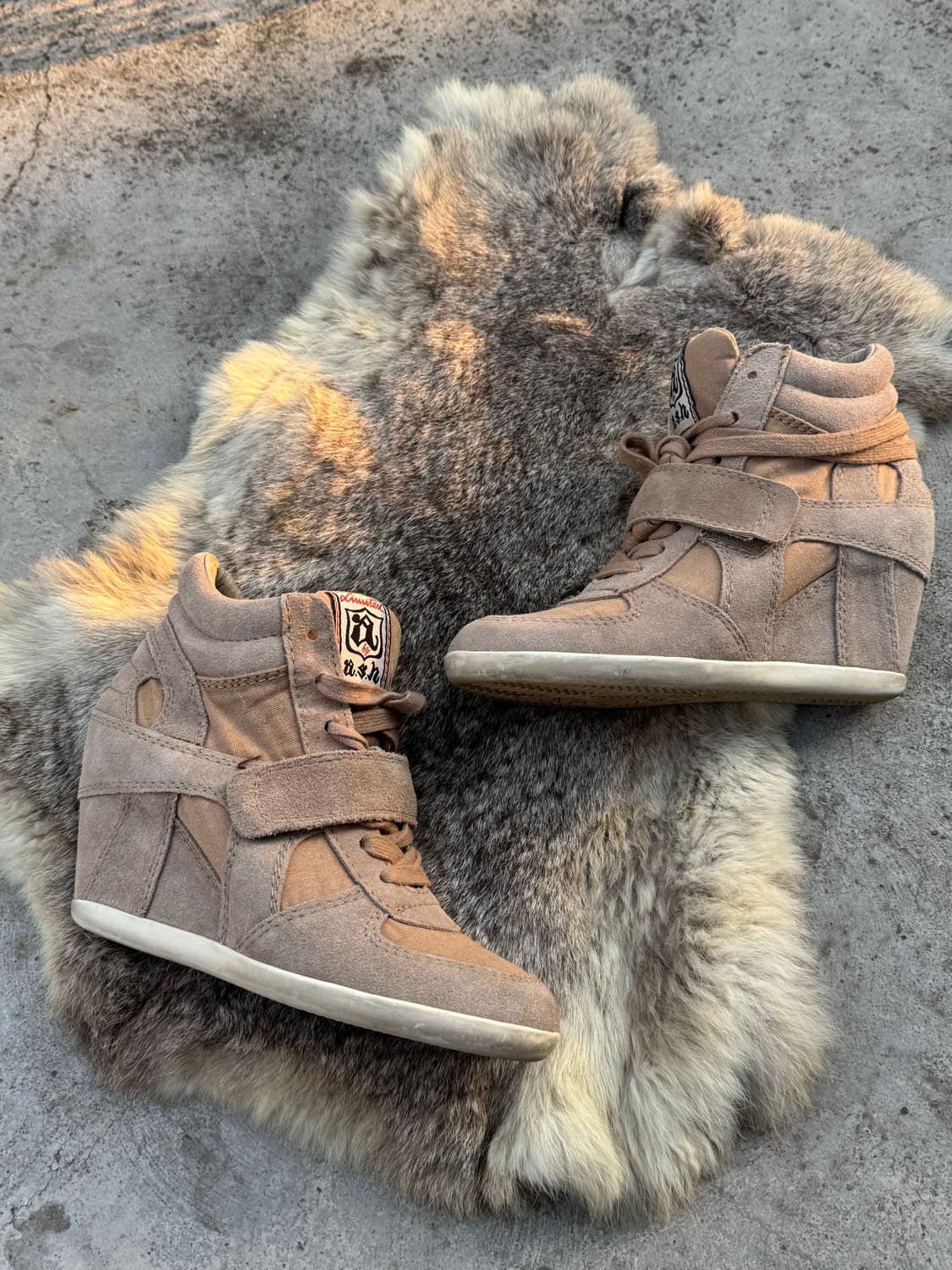 Ash 보위 웨지힐 하이탑 스니커즈  상품이미지3