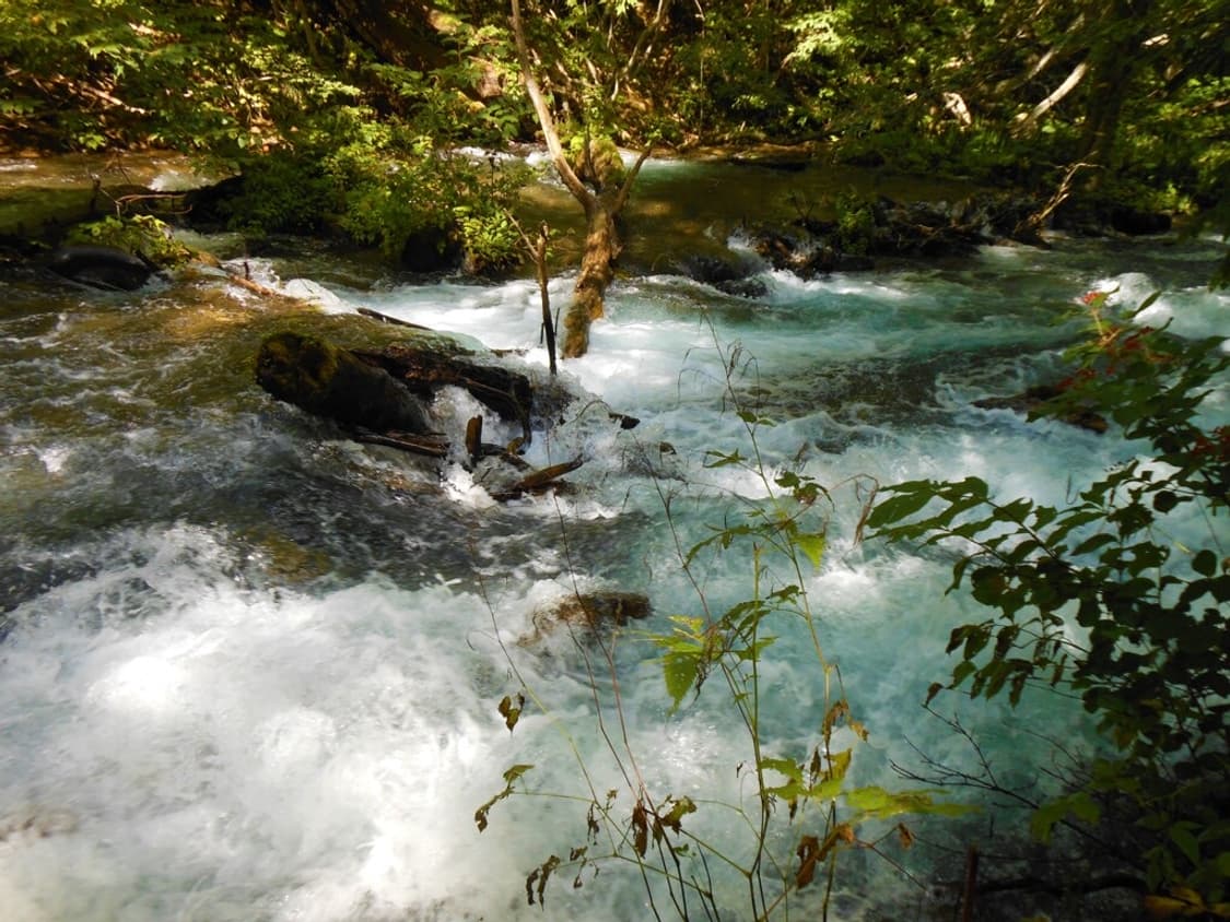 (색감/감성) 니콘 쿨픽스 S6200 디카 디지털카메라 상품이미지10