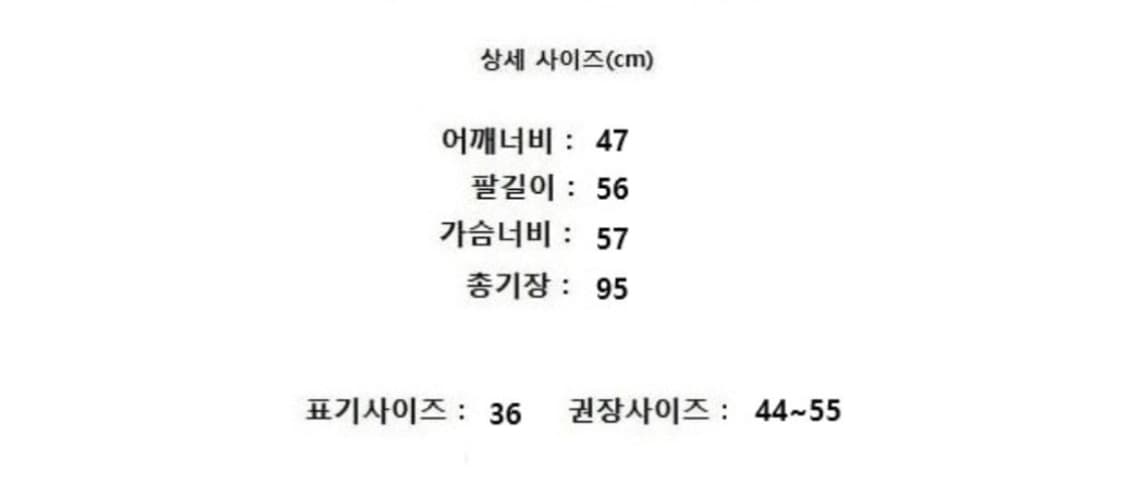 DANTON 단톤 상품이미지9