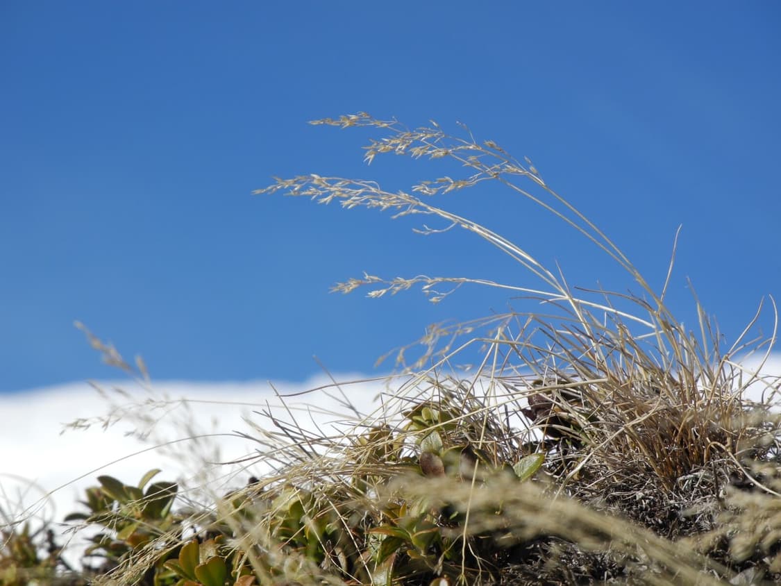 [하이엔드!] 니콘 Coolpix P7000 블랙 디지털카메라 상품이미지10