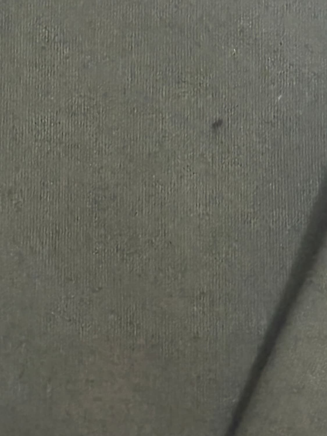 아더에러 자라 콘트라스트 후드티 상품이미지2