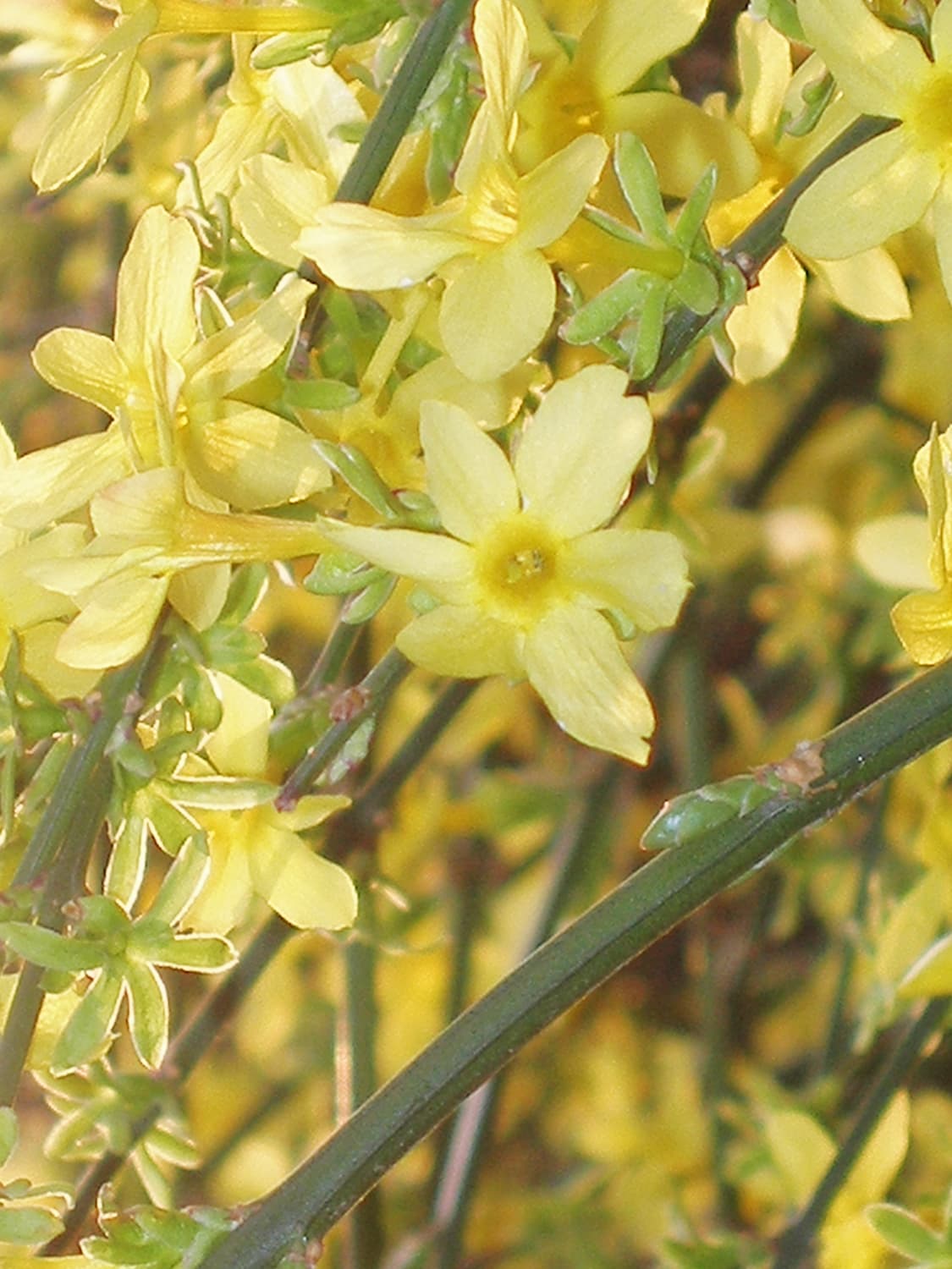 [작례O] 올림푸스 SP-320 빈티지 디카 상품이미지6