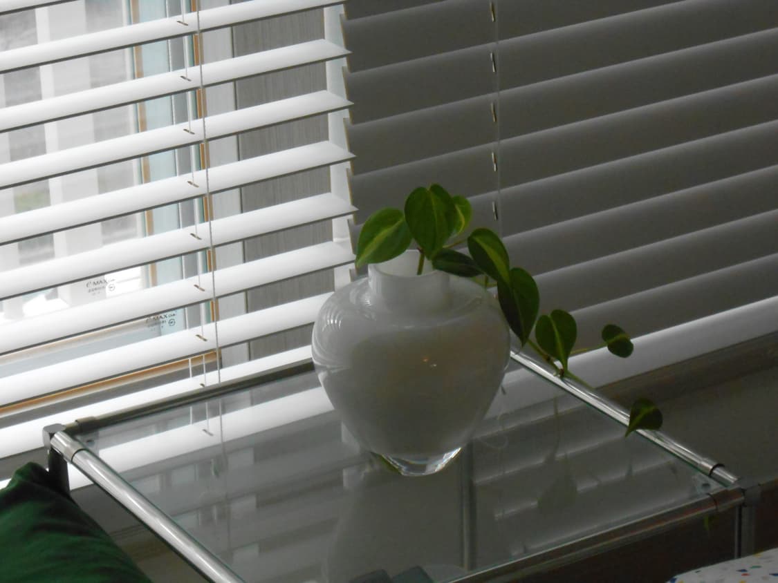 니콘 쿨픽스 S3300 상품이미지7