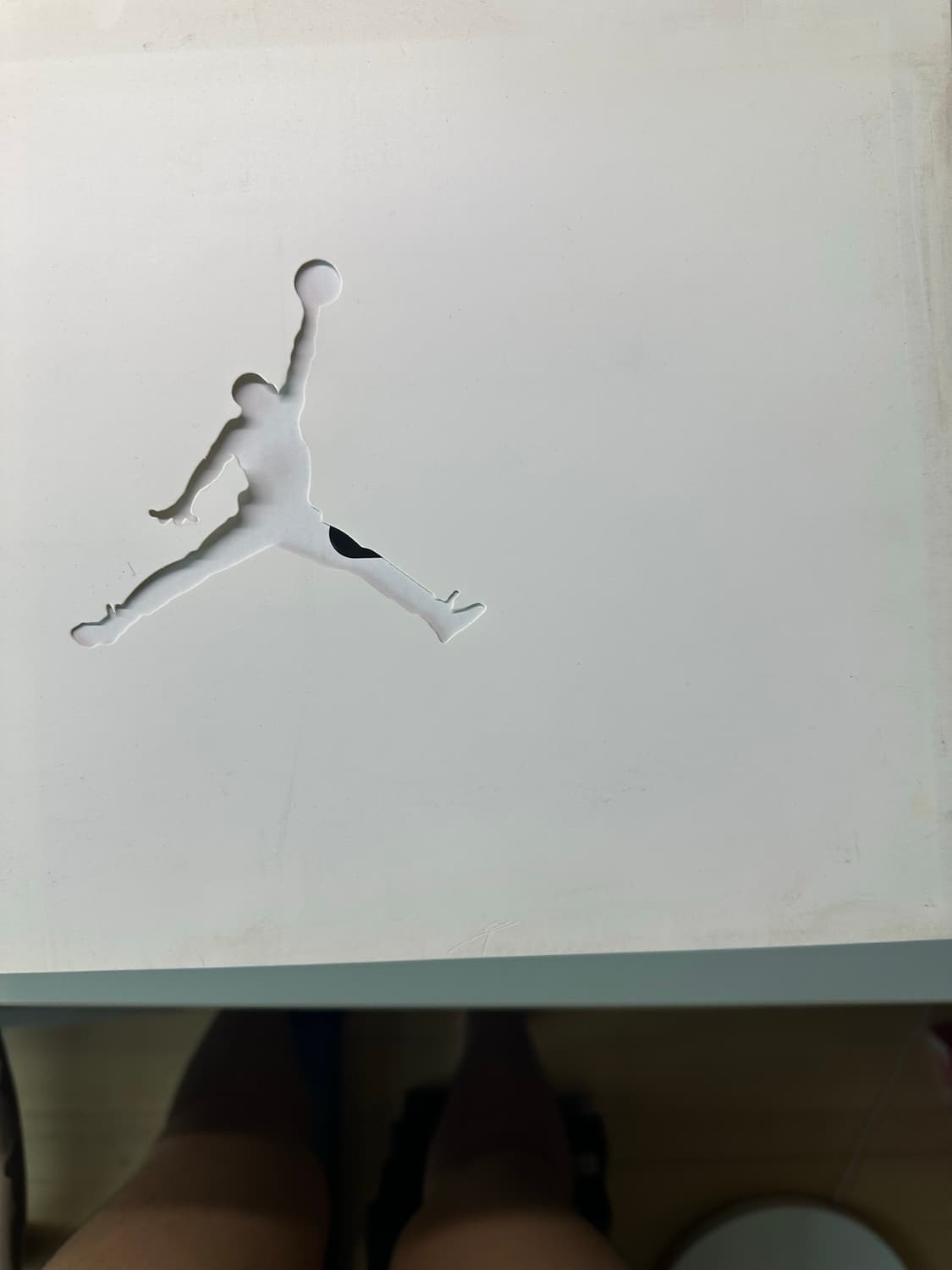 조던 37PF 라이트본 다트 콩코드 상품이미지2