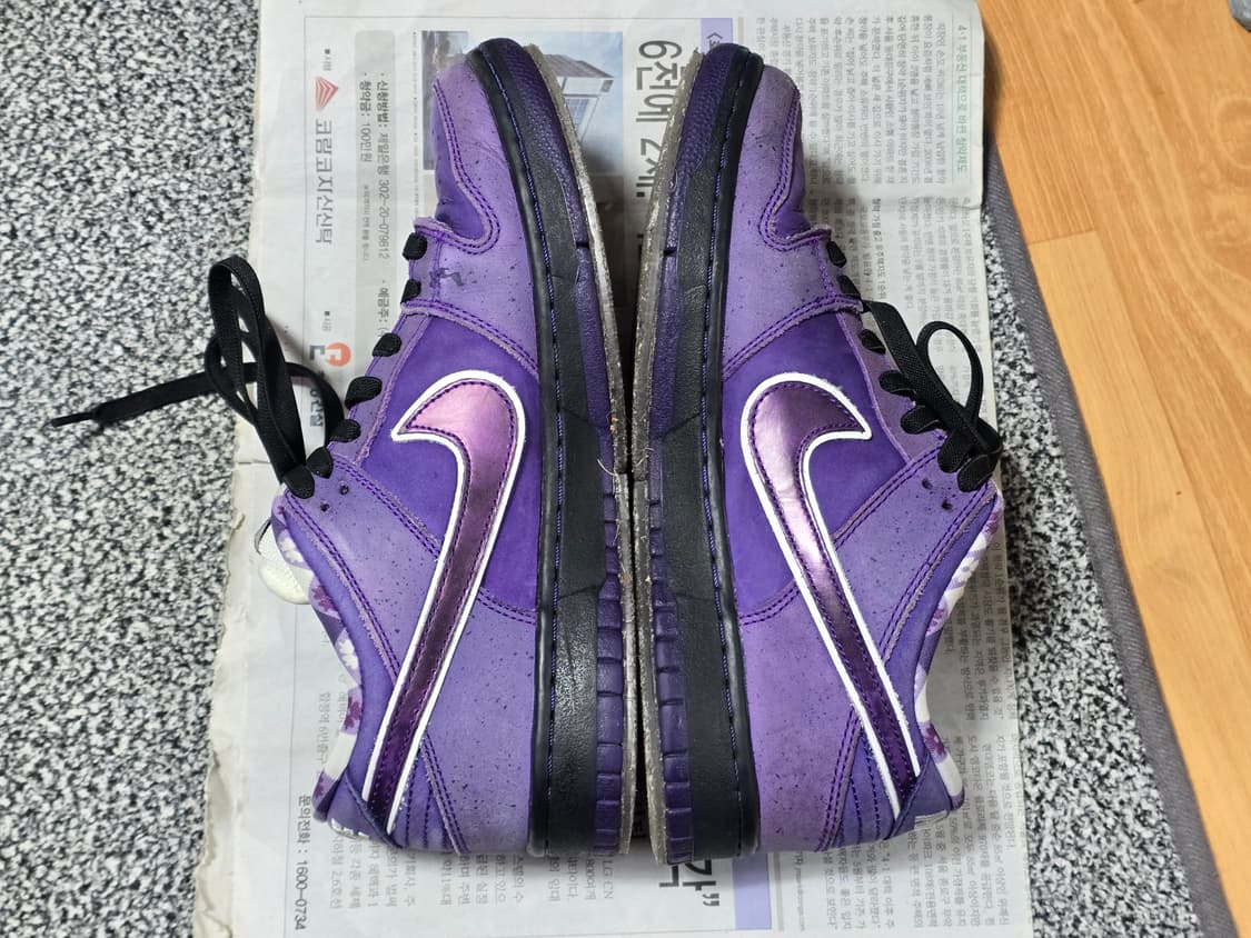 [250] 나이키 SB 덩크 로우 컨셉트 퍼플 랍스터 레귤러 박스 상품이미지5