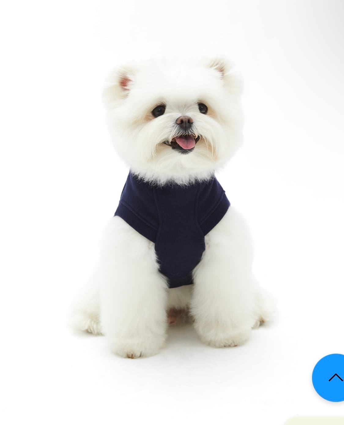 emis 이미스 강아지 티셔츠 (네이비) 상품이미지7