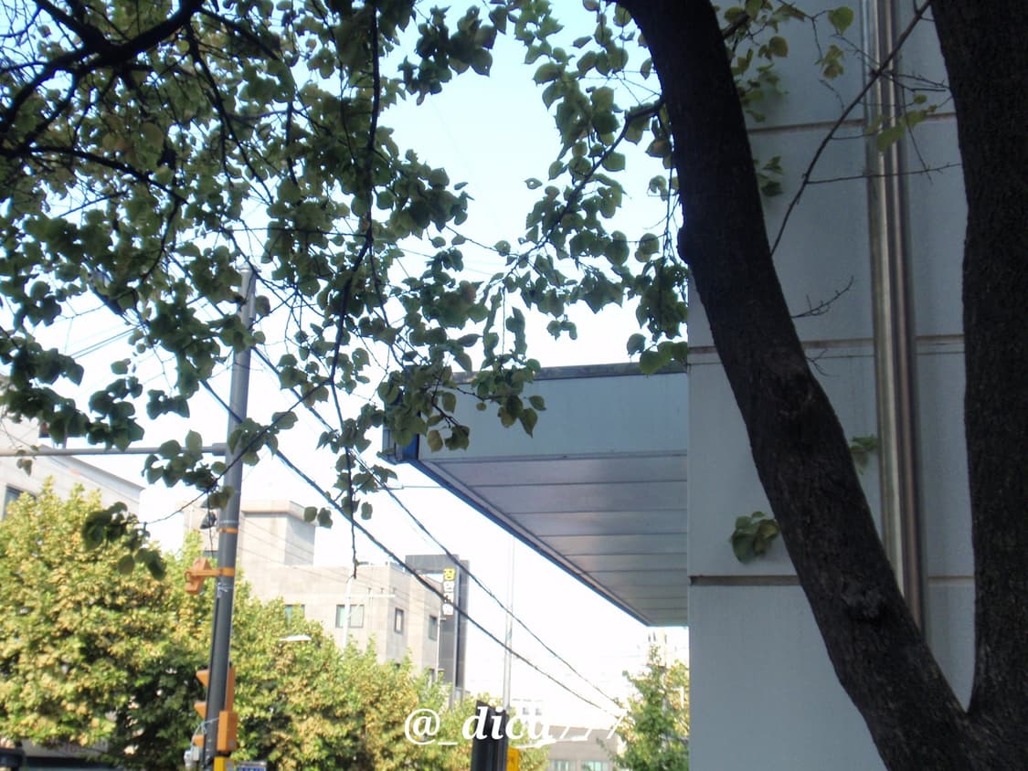 올림푸스 뮤 1020 디카 상품이미지9