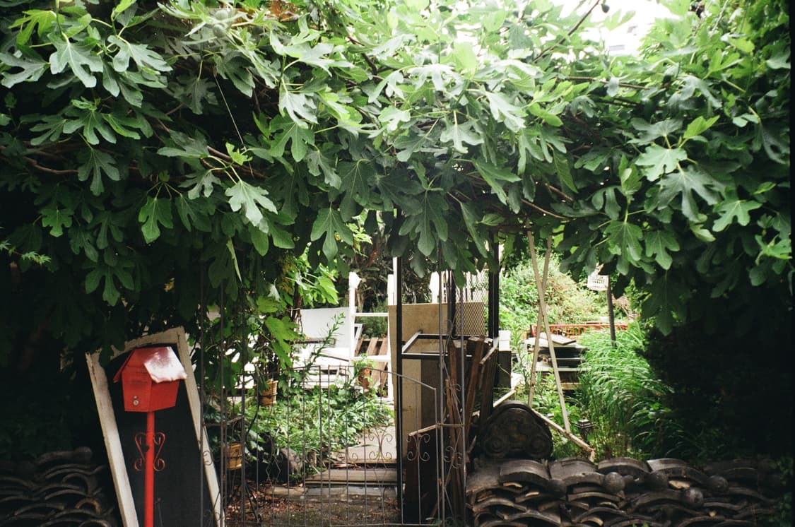 Konica 코니카 Z-UP 70 VP 날짜 35mm 카메라 상품이미지7