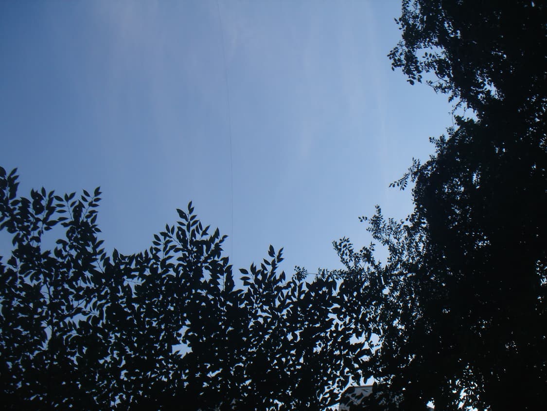 디카 회전식 렌즈 소니 dsc-f88(작례) 상품이미지10