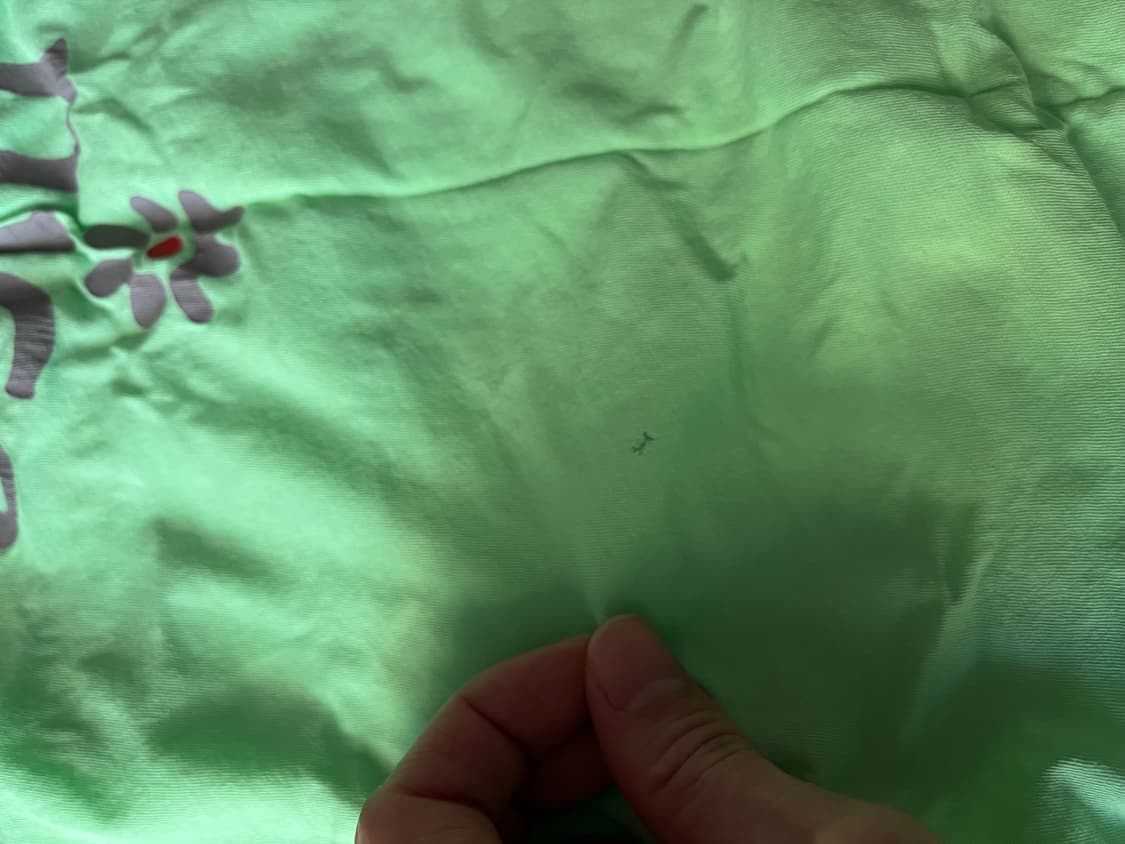 ERL 빈팔티  상품이미지4