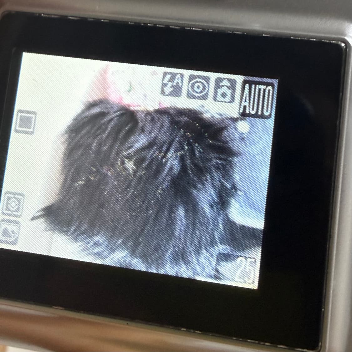 캐논 파워샷 a530 디카 /빈티지 디카 상품이미지6