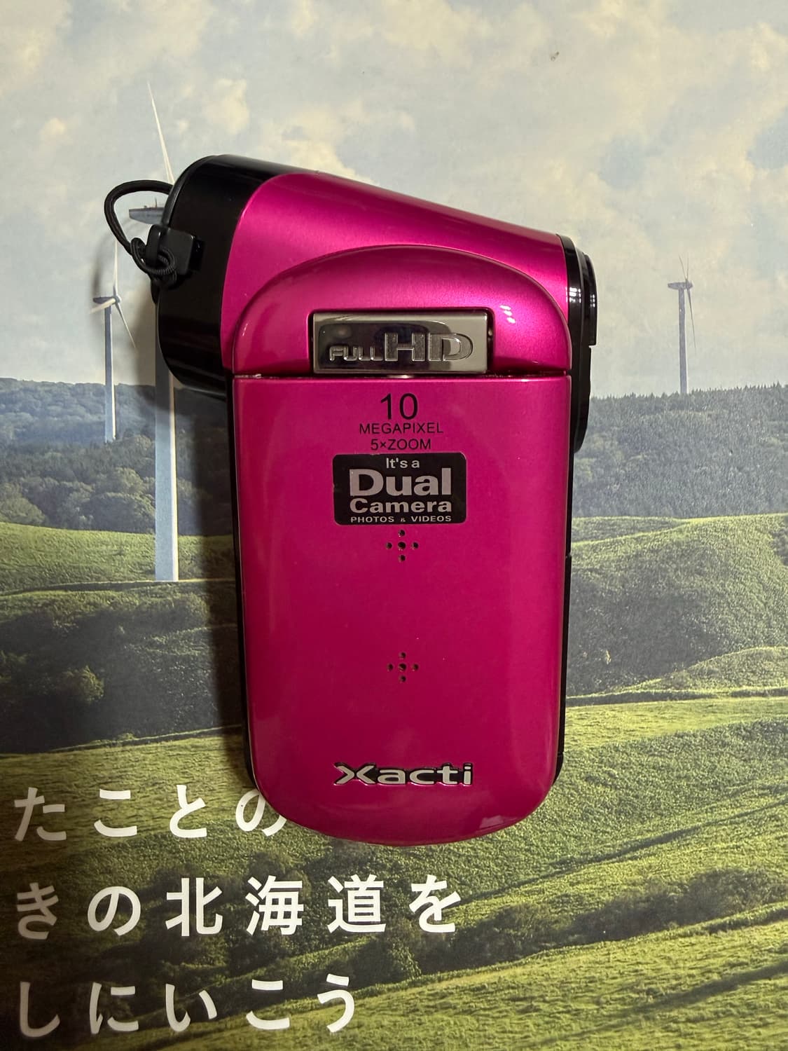 산요 Sanyo cacti CG20 pink  상품이미지1