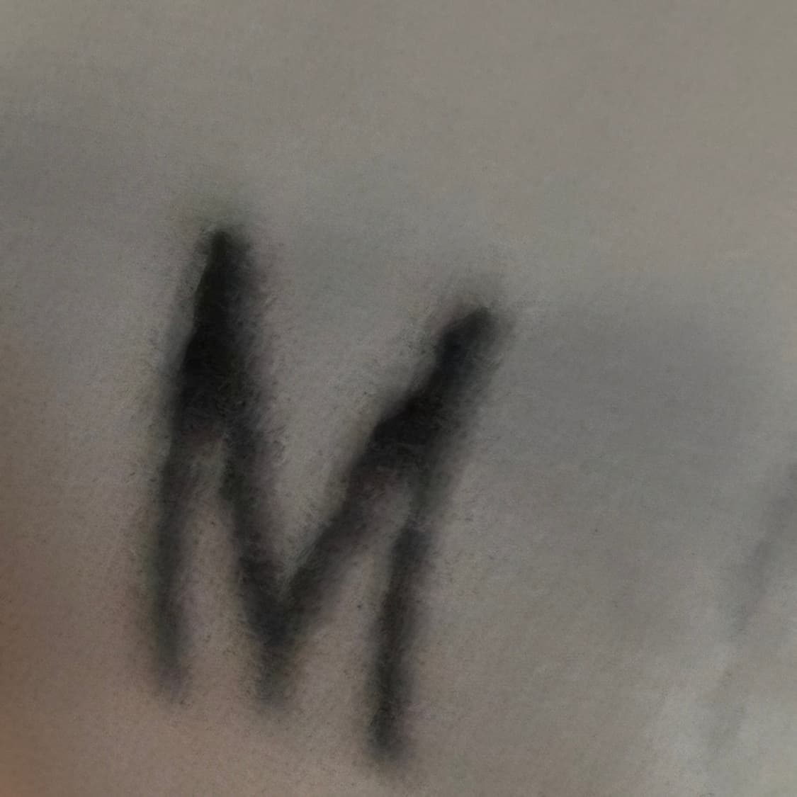 스톤아일랜드 맨투맨 m사이즈 95 판매 상품이미지4