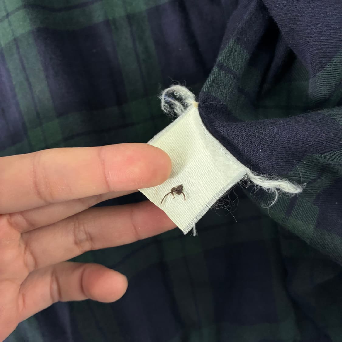 Polo  폴로 랄프로렌 자수 그린 스윙톱 자켓  상품이미지6