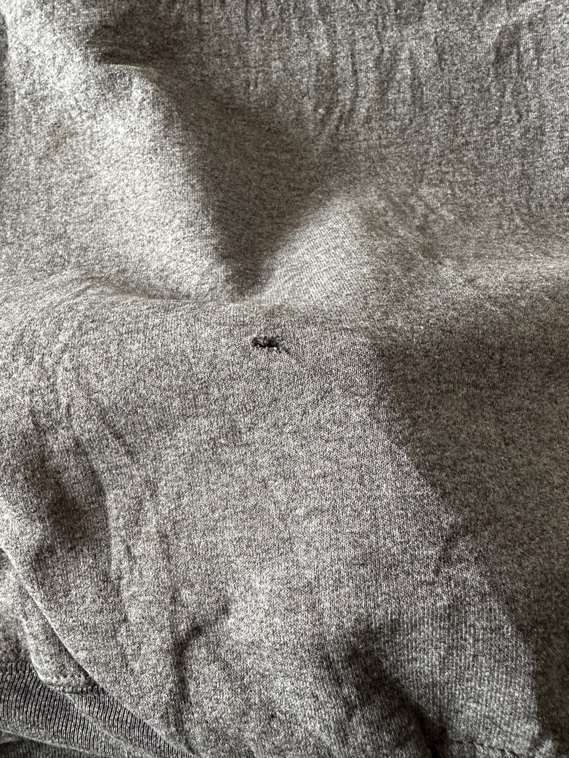 Champion Southern Illinois 크루넥 스웻셔츠 상품이미지4