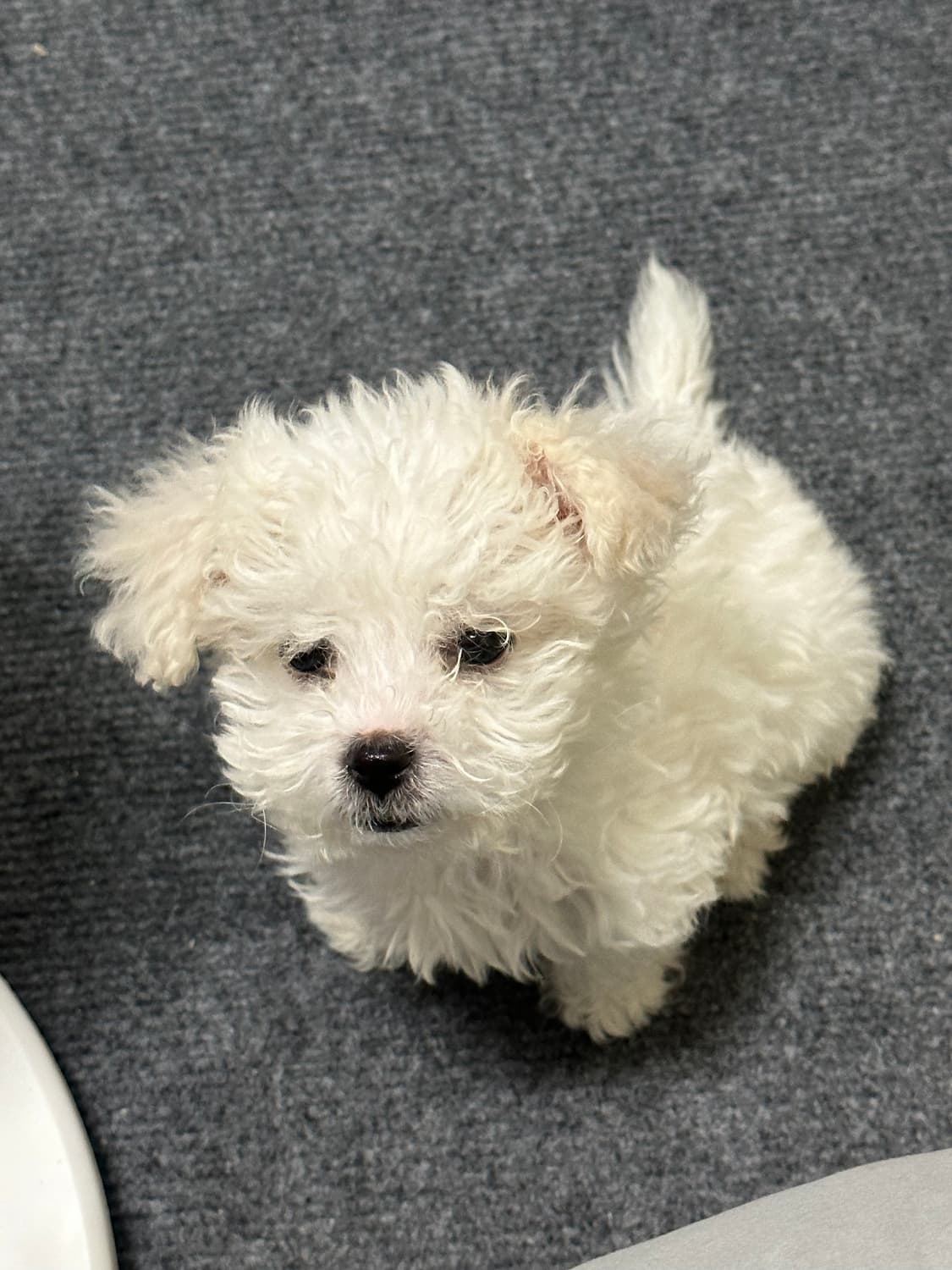 준현이카겨여여여뇨뇨뇨뇨뇰 상품이미지1