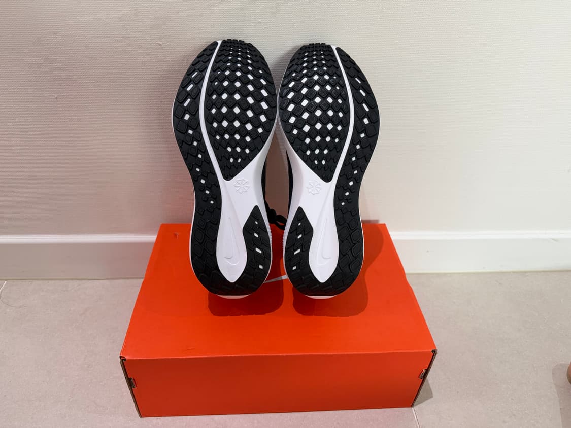 나이키 페가수스 41 멀티컬러 라이트 스모크 그레이 265 새상품 상품이미지3