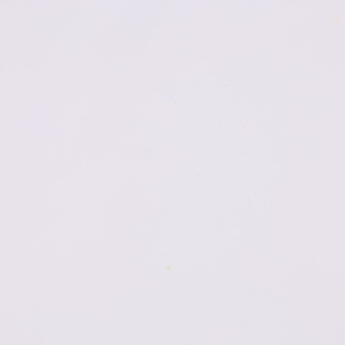 L 내셔널지오그래픽 반팔 카라티 0416M 상품이미지5