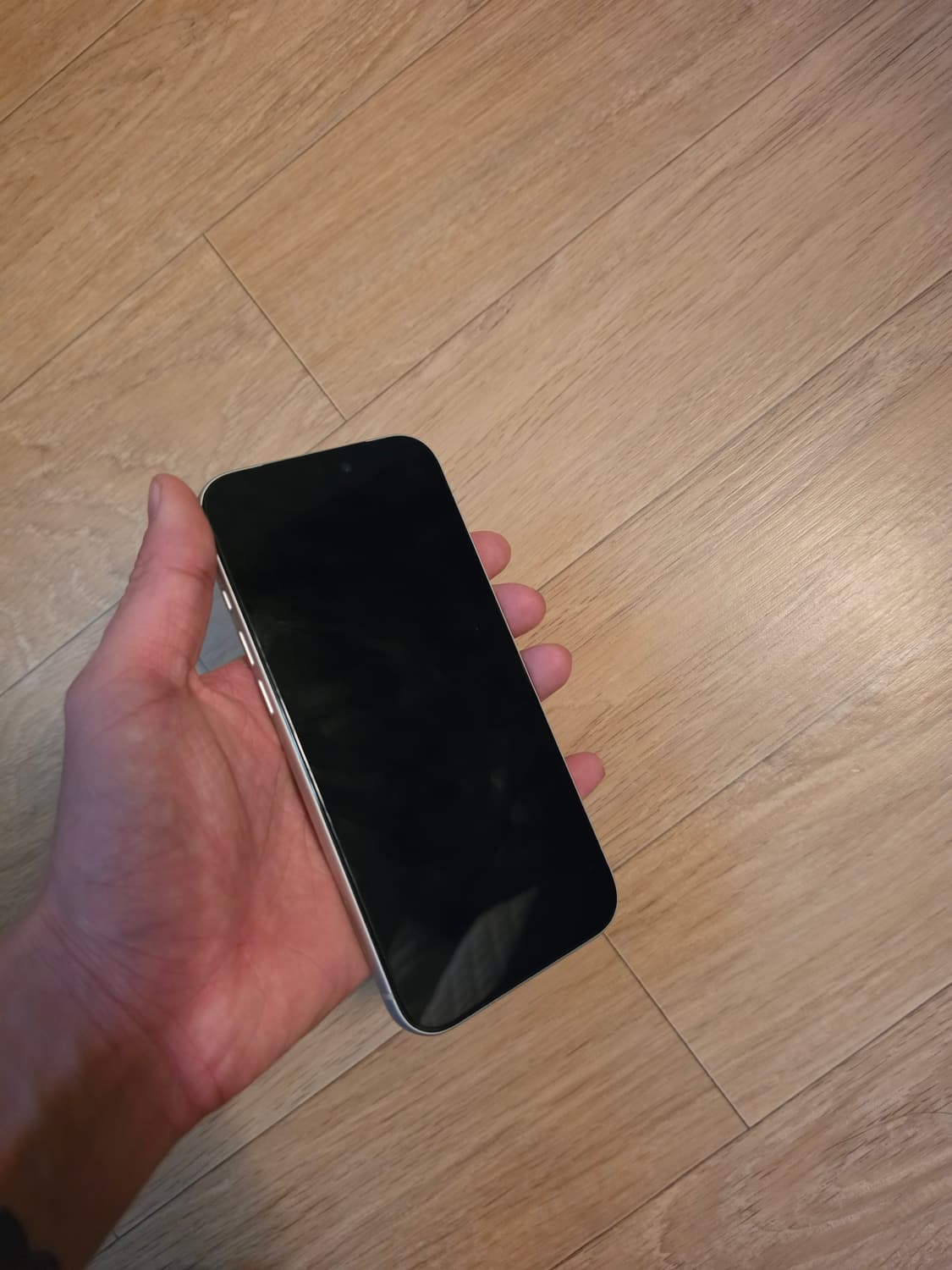 아이폰 17프로맥스 256 실버 자급제 2주사용 새상품급 상품이미지4