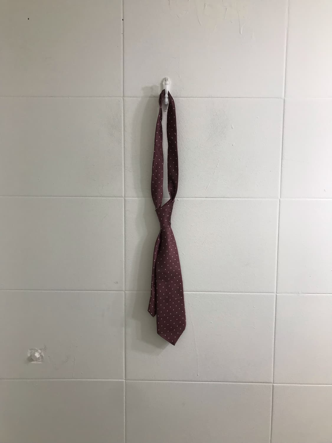 너드 모리 하구미 모카무스 브라운 잔꽃 도트 코디세트 상품이미지8