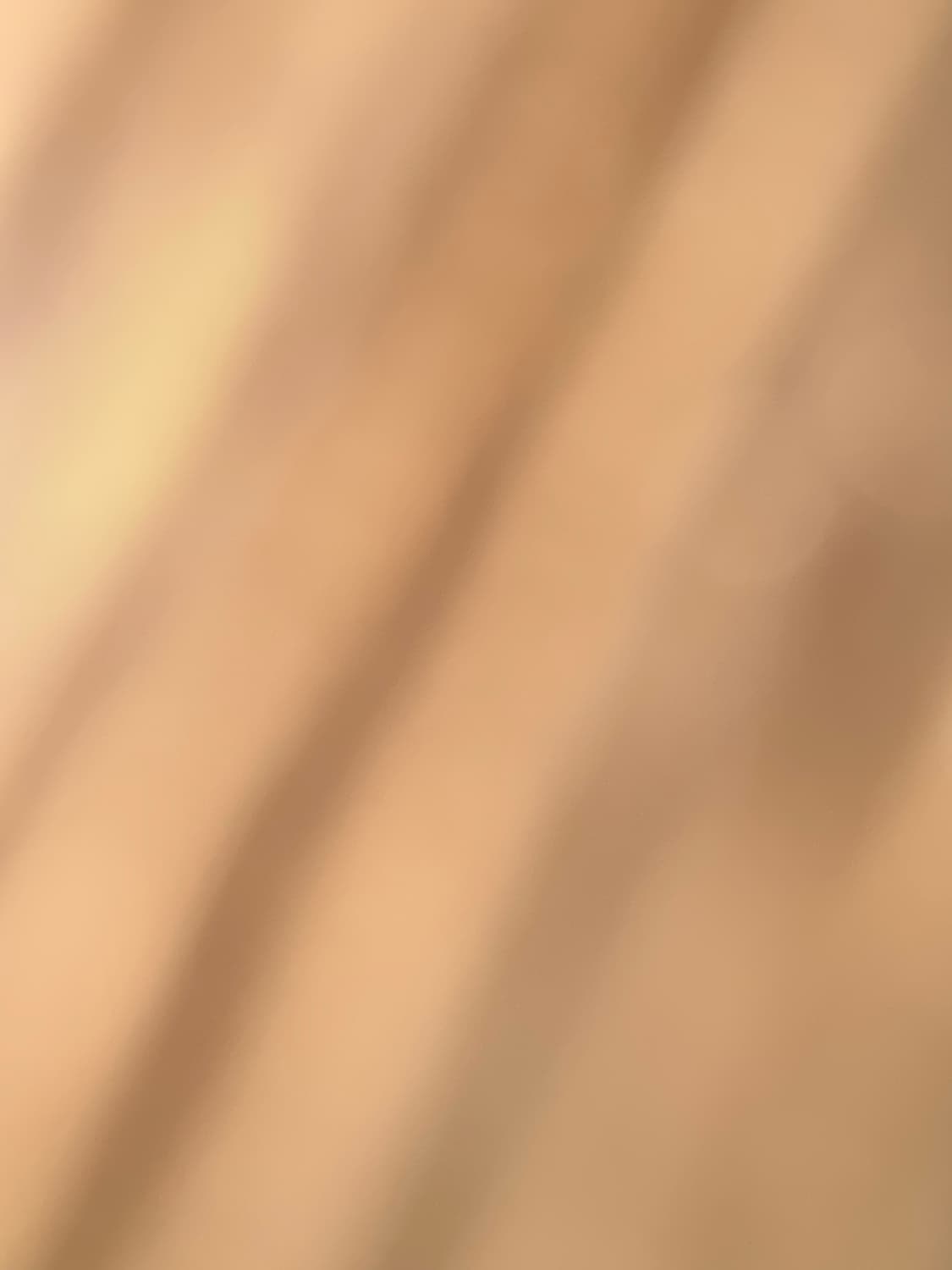 L 파타고니아 신칠라 브라운 상품이미지5