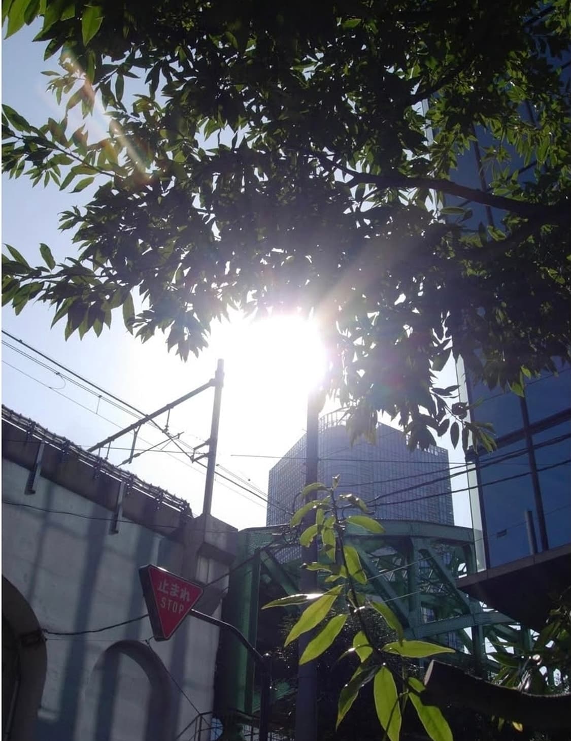 미품💙 니콘 쿨픽스 5200 ✨ 네이비블루 감성디카 💕 상품이미지9