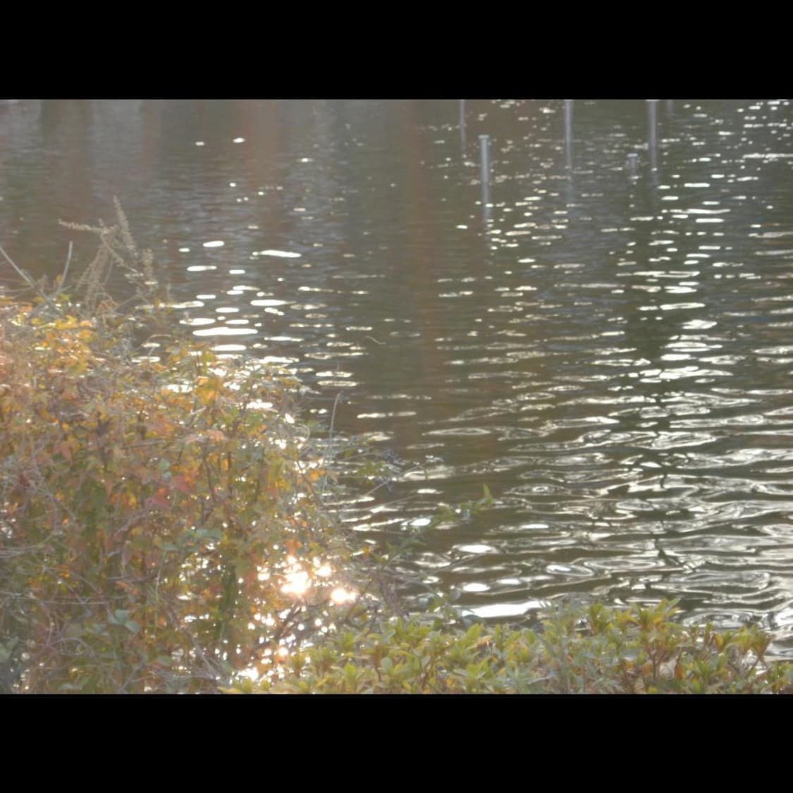 히타치 HDC-1241 + 박스  메탈릭 실버 빈티지 디카 디지털카메라 상품이미지3