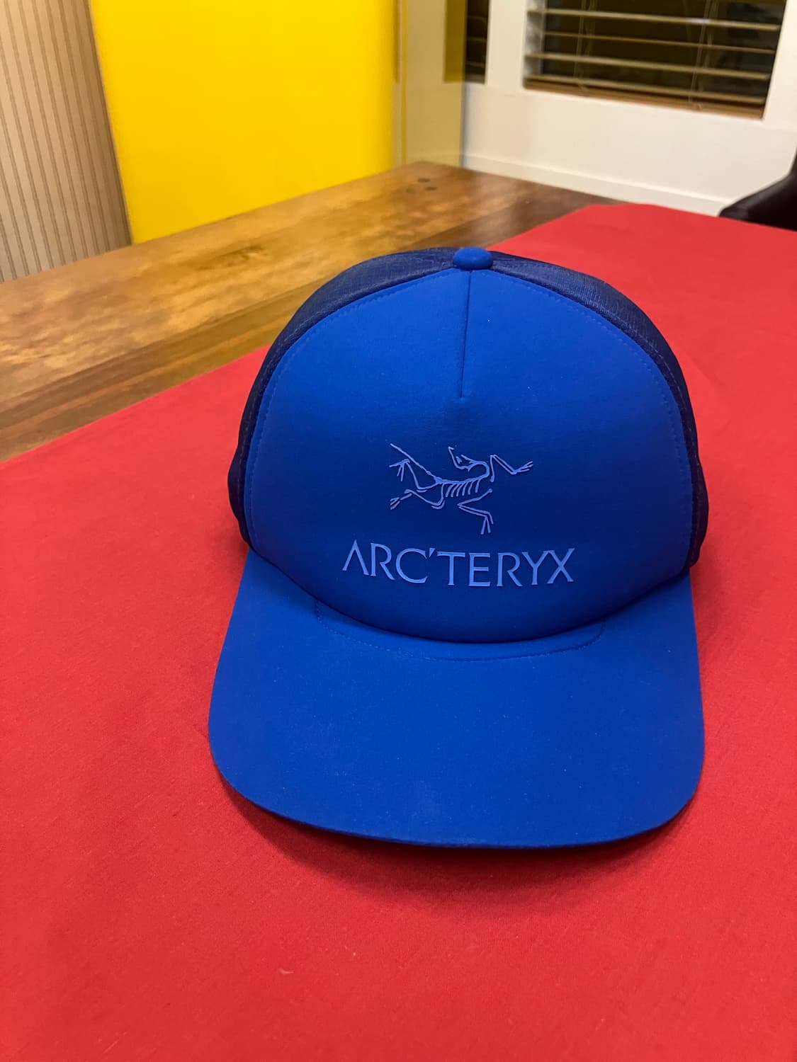 아크테릭스 모자 블루 상품이미지2