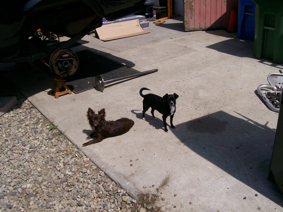 [작례O]코닥 이지쉐어 c743 / kodak easyshare c743 상품이미지10