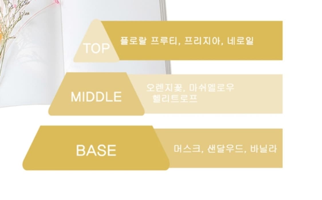 전지현 향수 디플로마 팜므 오드퍼퓸 100ml 상품이미지5
