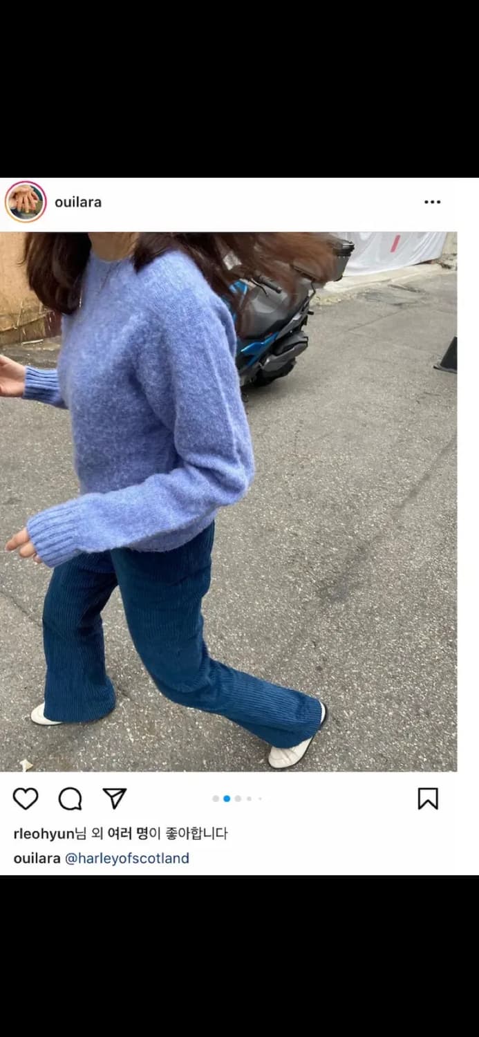 할리오브스코틀랜드 쉐기독 콘플라워 xs 상품이미지4