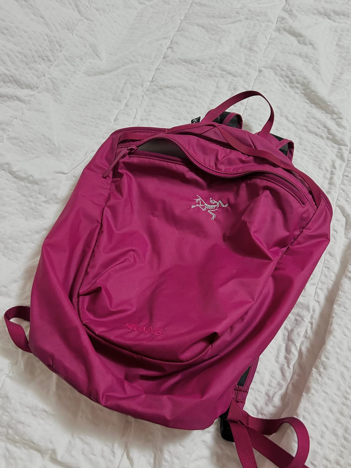 아크테릭스 헬리아드 15 백팩 신스 상품이미지2