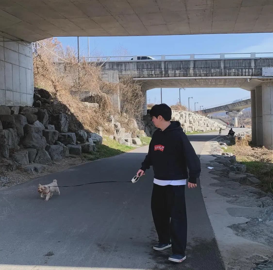 슈프림 꼼데가르송 후드 정품 XL 상품이미지5