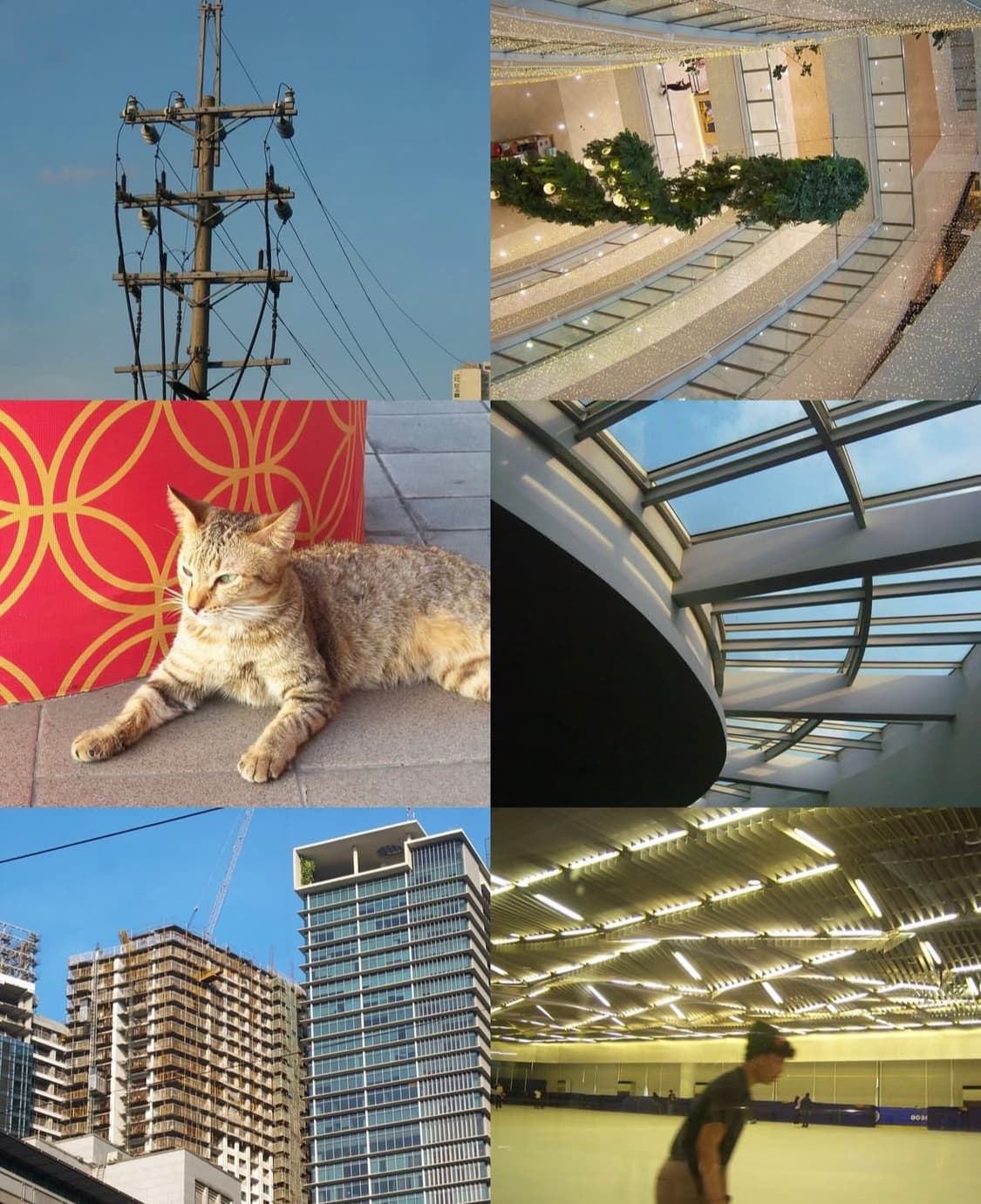 코닥 이지쉐어 v1003 디지털카메라 상품이미지7