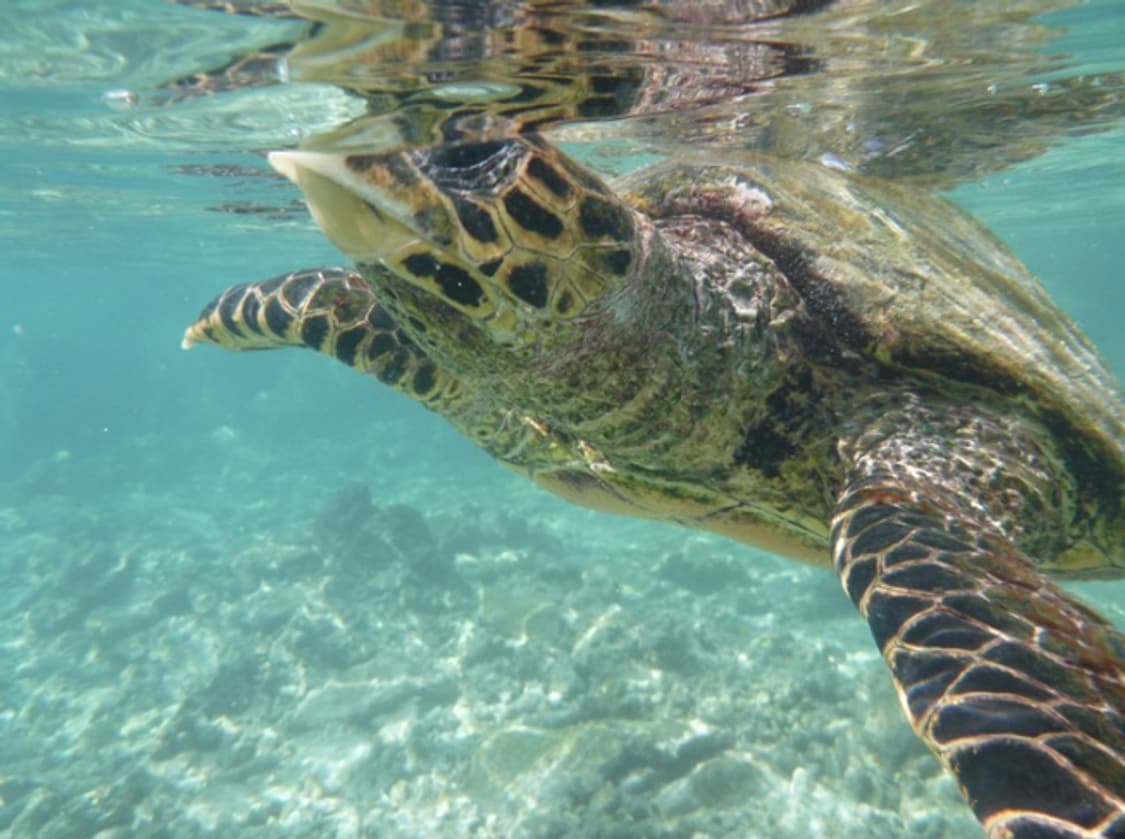 Panasonic lumix ts3 감성 콤팩트 수중 카메라 작례 O 상품이미지9