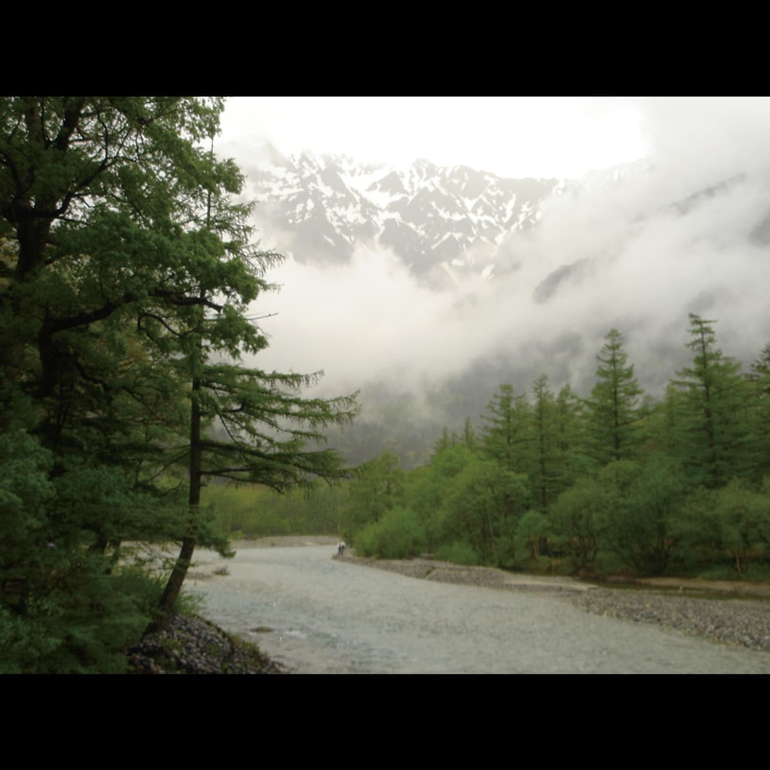 작례⭕️ 소니 사이버 DSC-T5 빈티지 디카 디지털카메라 상품이미지4