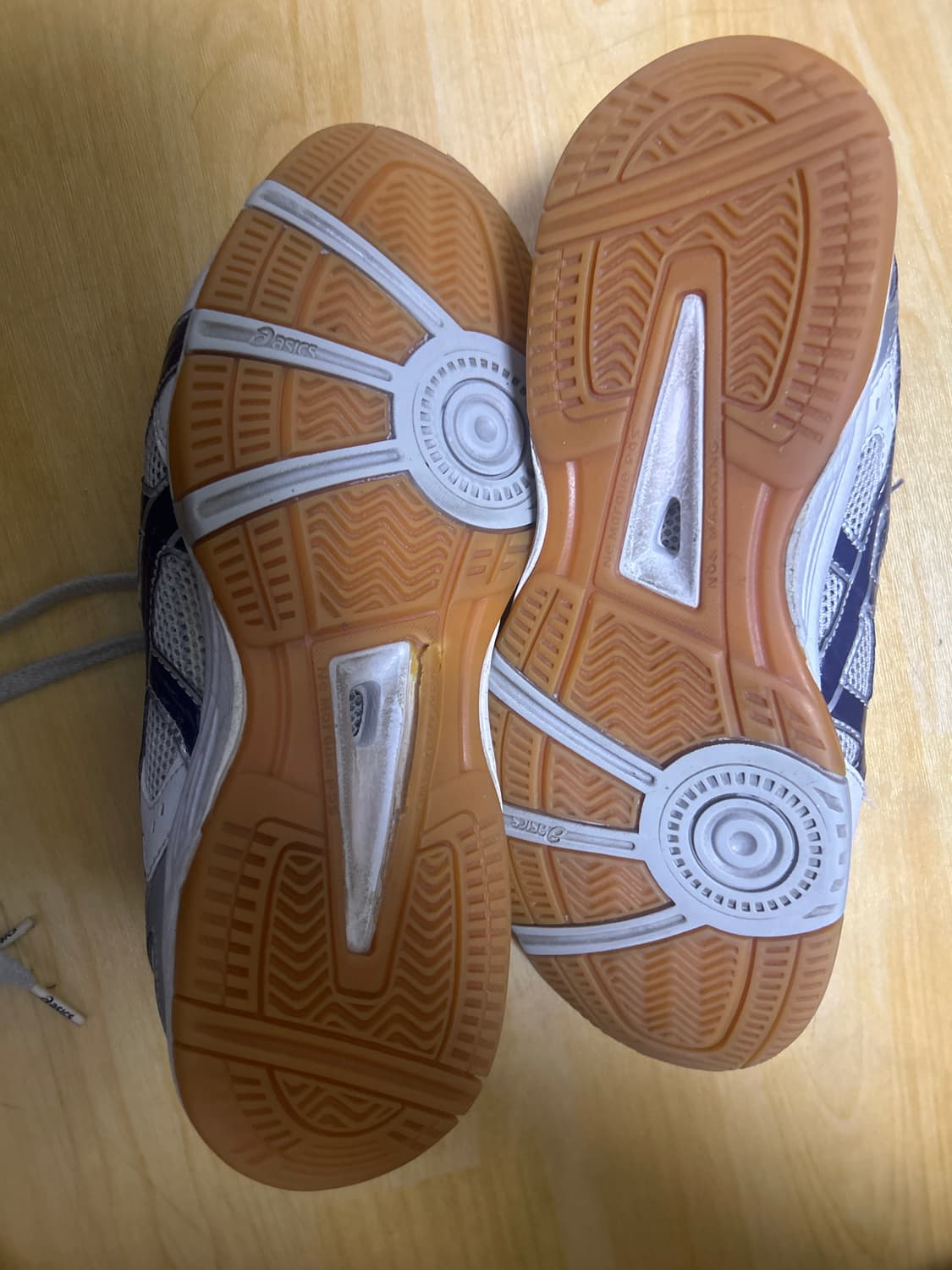 아식스 로테리브레 체대입시화 250 상품이미지3