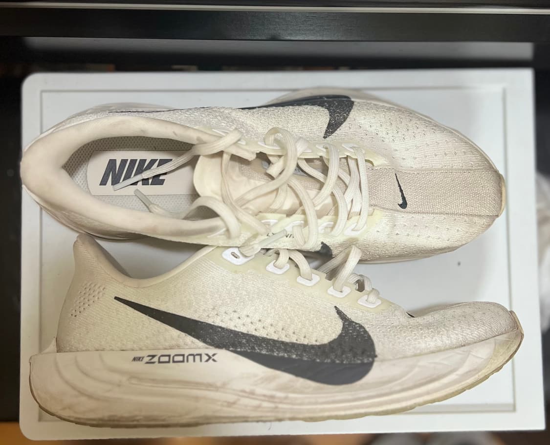 나이키 페가수스 플러스 화이트 255mm 상품이미지1