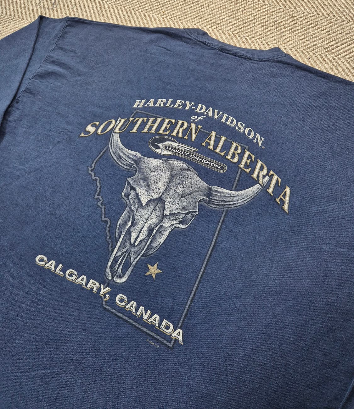 90s 할리데이비슨 슬리브 상품이미지4