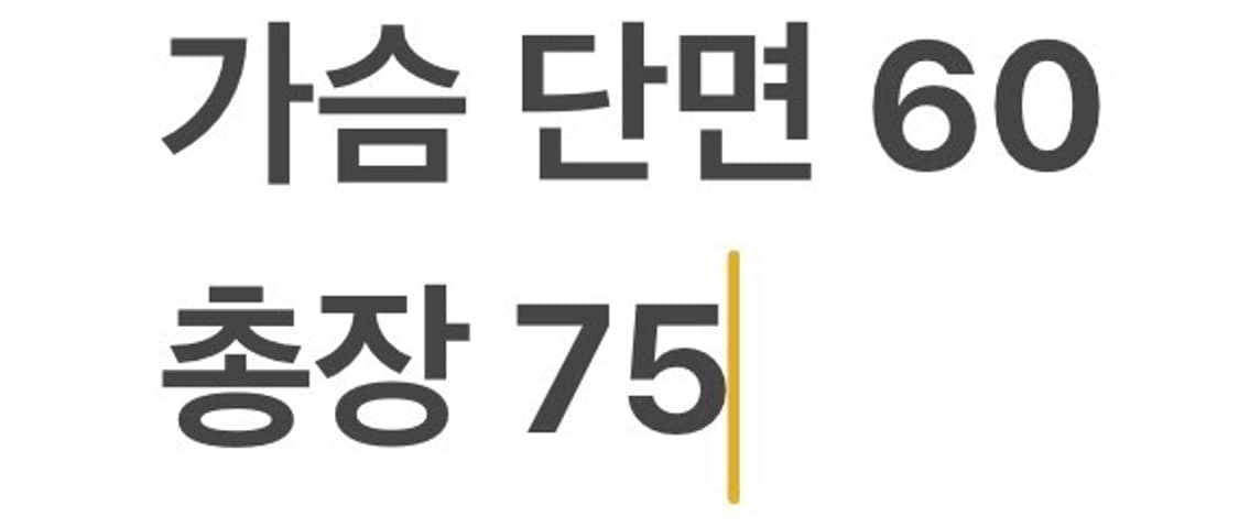[정품/L] RLX 랄프로렌 폴로 카모 경량 패딩 b19 상품이미지7