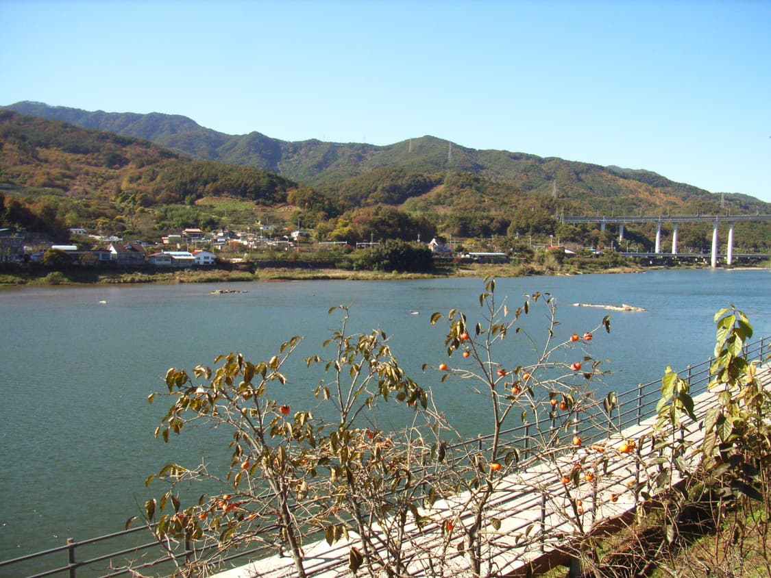 Ricoh Caplio R2 상품이미지9