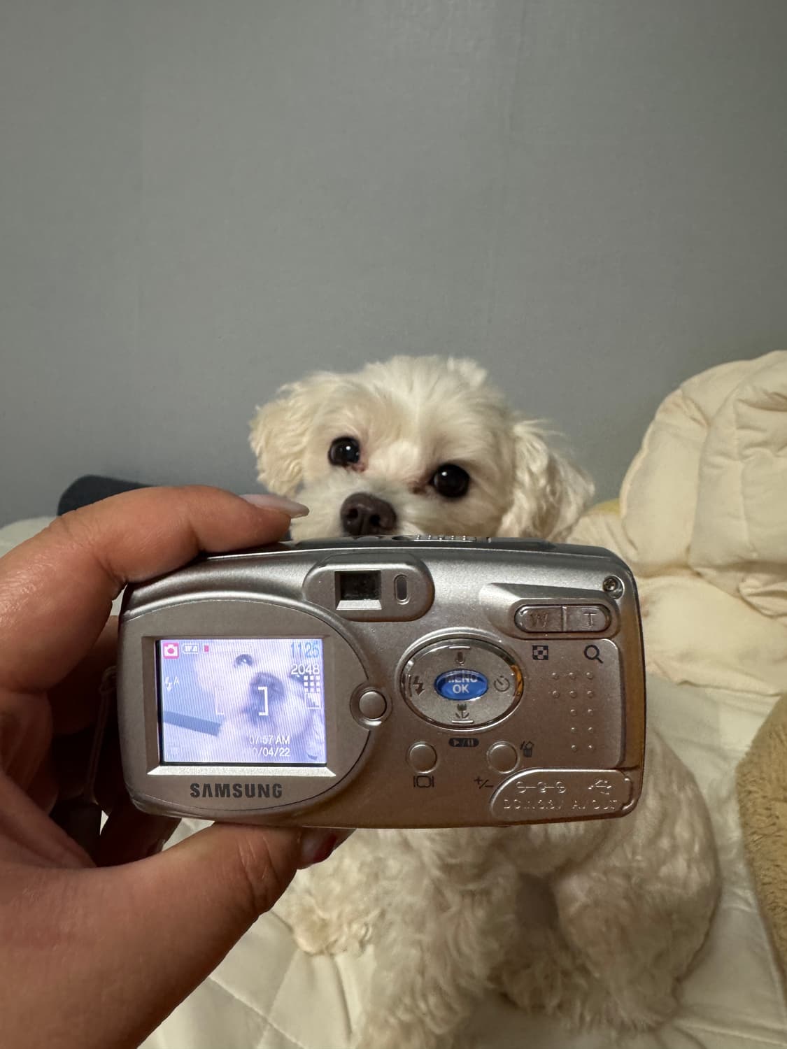 삼성 케녹스 U-CA3 디지털 카메라 상품이미지4