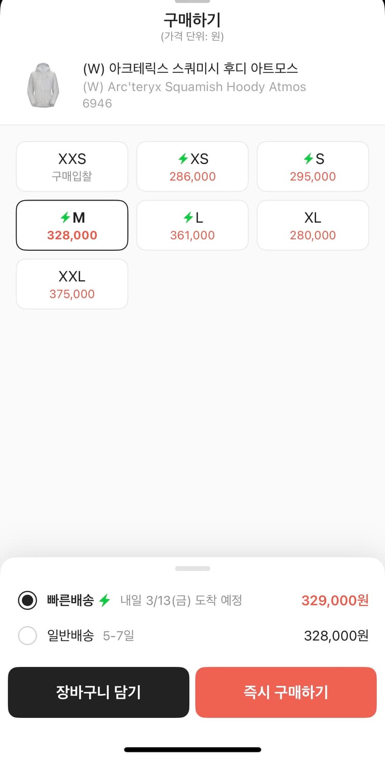 아크테릭스  스쿼미시 후디 아트모스 상품이미지2