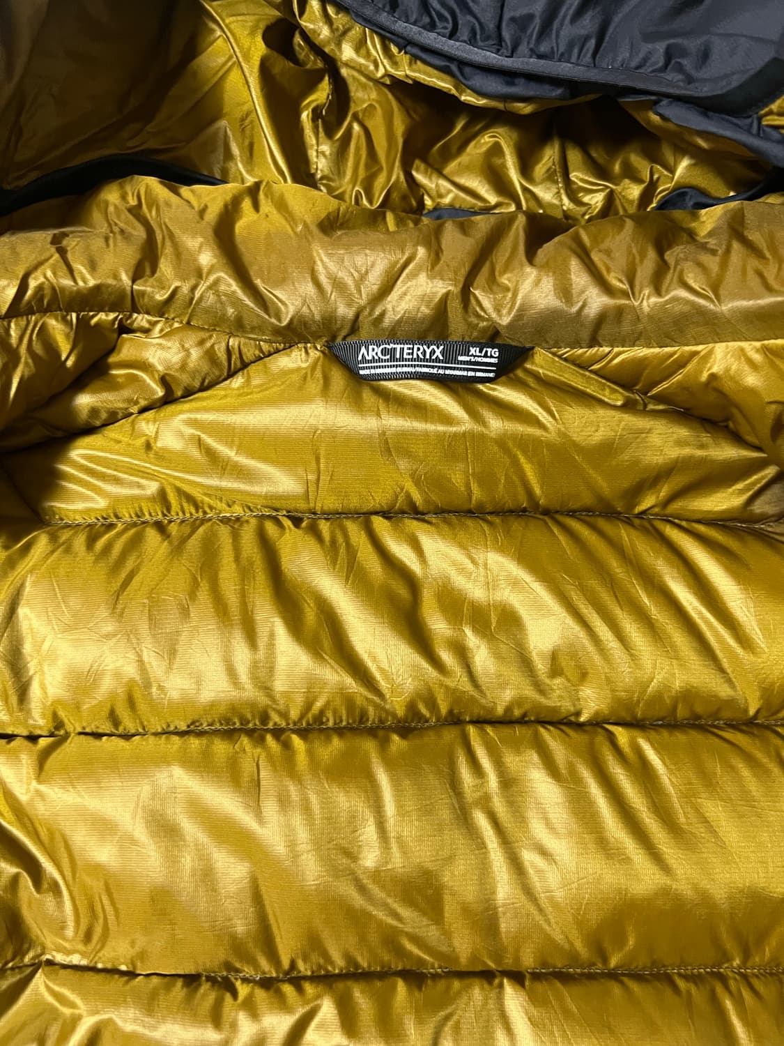 아크테릭스 토륨 24k 상품이미지3