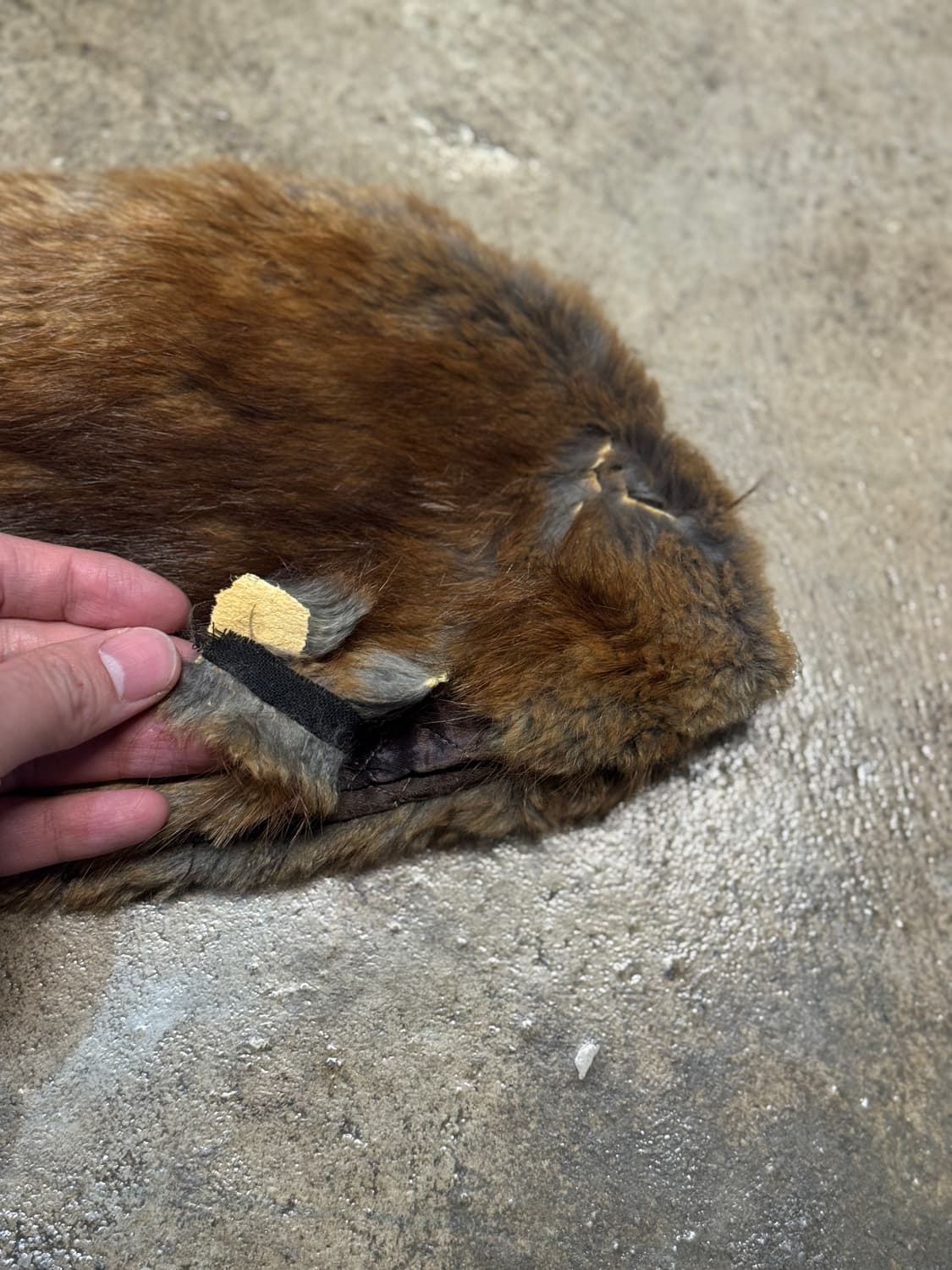 OS ) 60s STETSON 상품이미지10