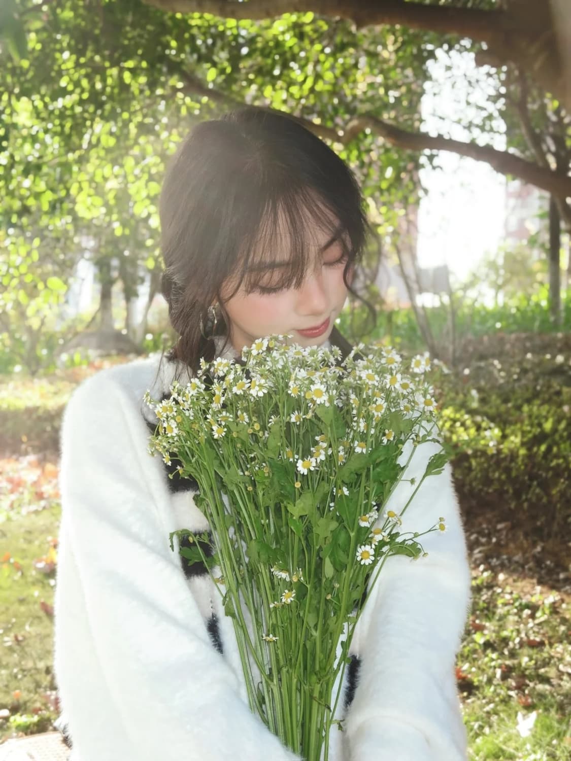 CANON IXY 620F 핑크 (희귀*) 상품이미지10