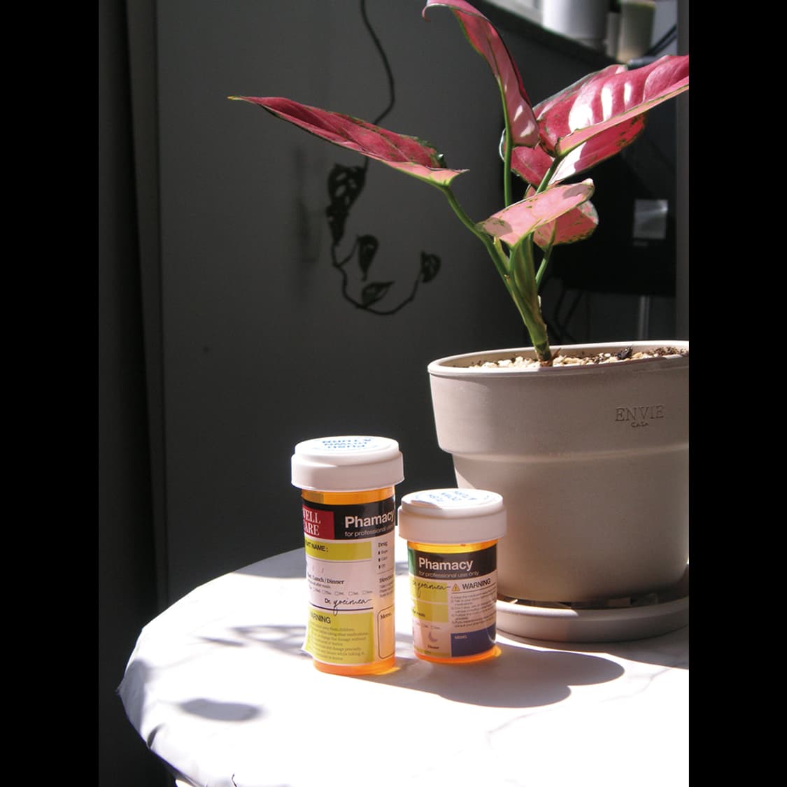 작례⭕️ 미놀타 디미지  디마지 X50 X-50 상품이미지3