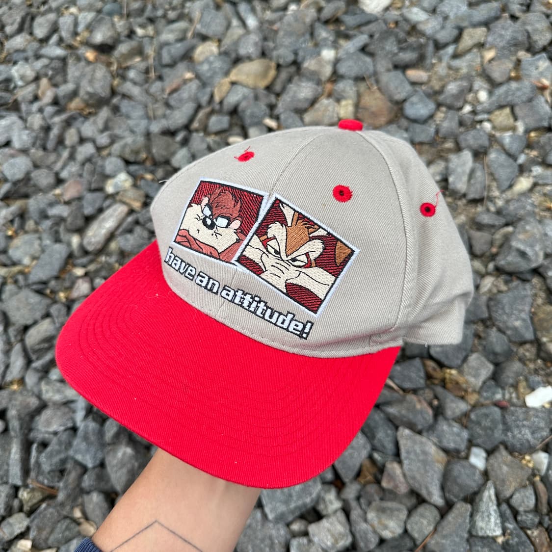 97 looney tunes taz&wile e coyote cap 상품이미지2