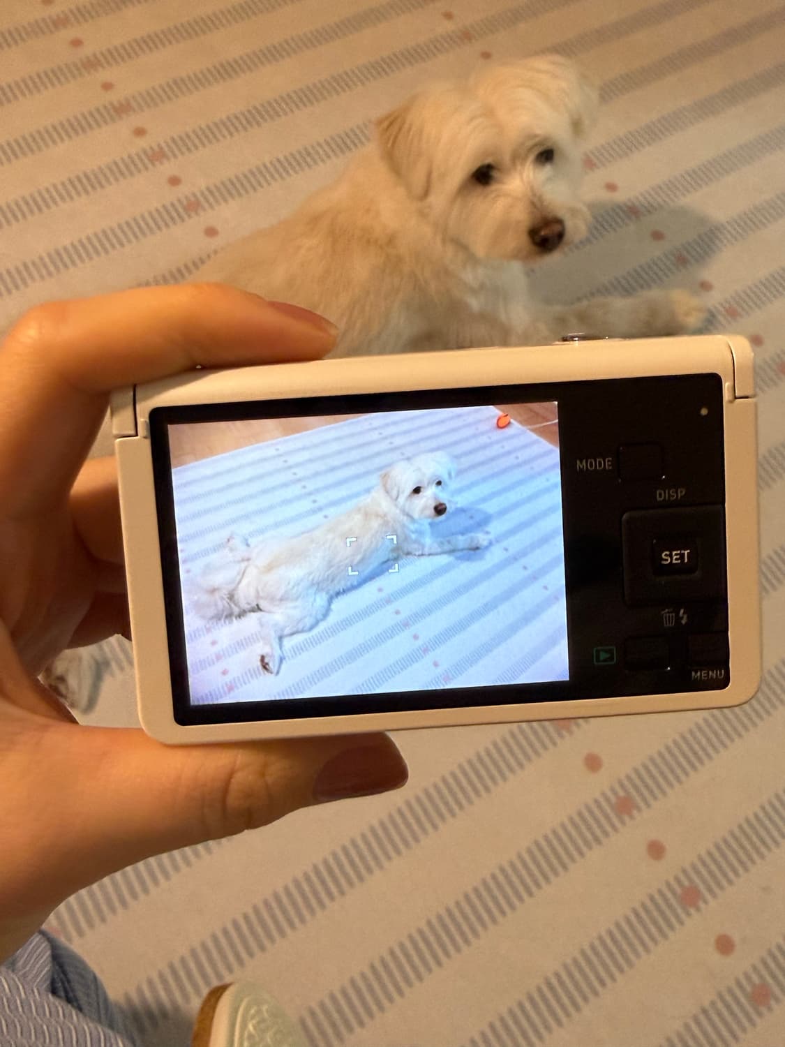 CASIO EXILIM EX-ZR70WE 상품이미지2