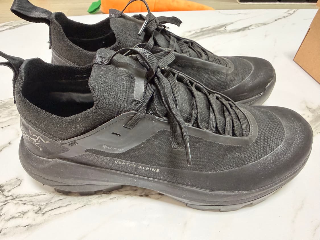 26ss 아크테릭스 버텍스알파인 gtx 블랙 255 상품이미지4